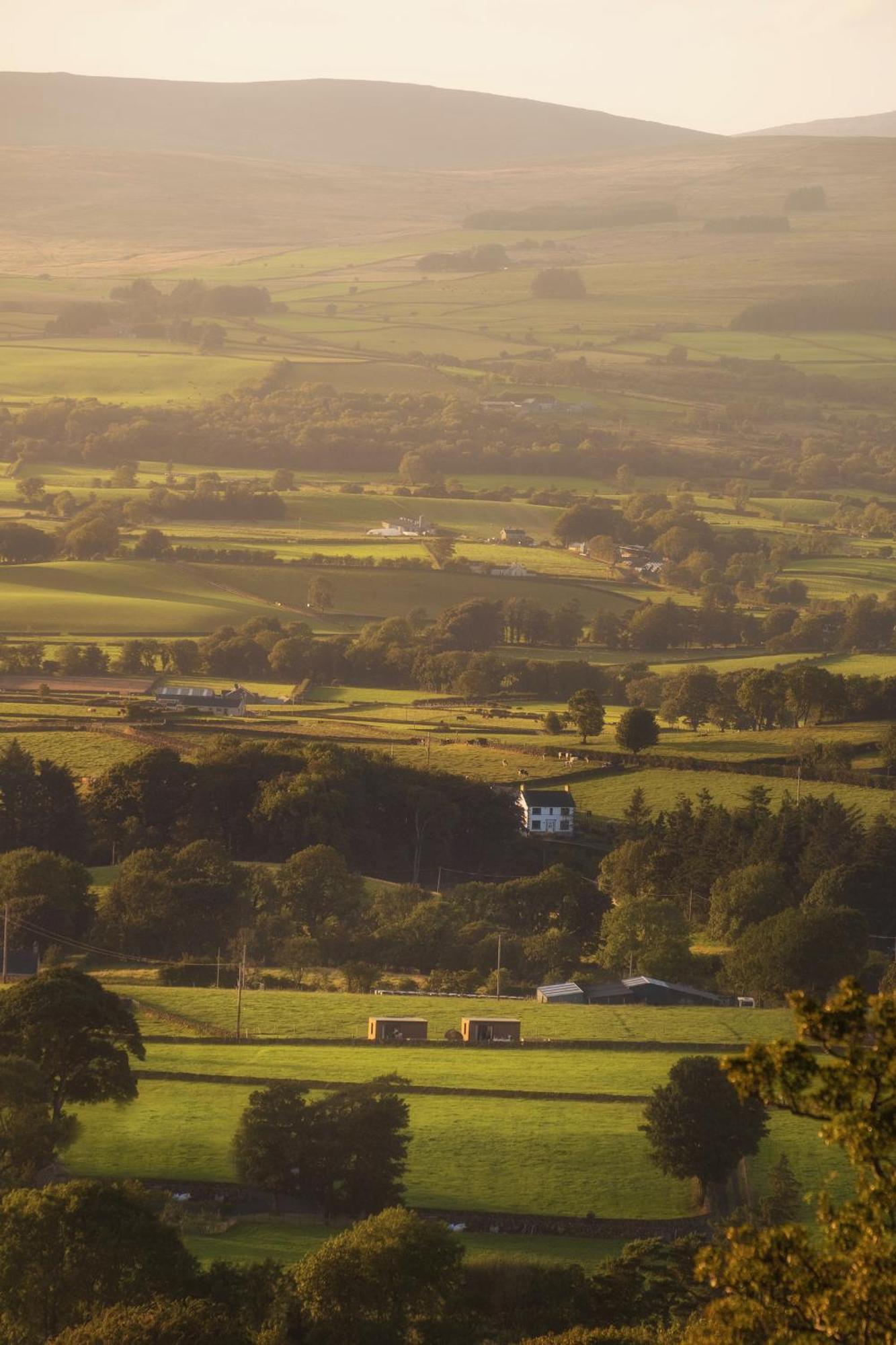 Slemish Hideaway - Funky Pheasant Villa Broughshane Exterior foto